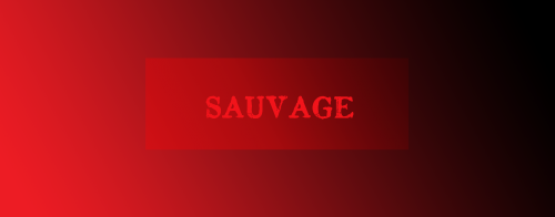 Sale-con.png