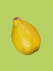 citron2 copie.jpg