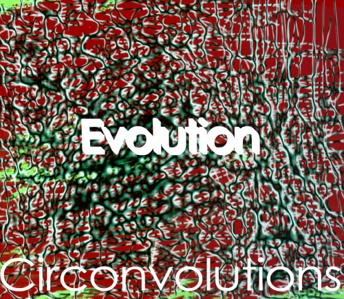 circonvolution.png