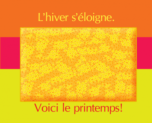 ocot.png